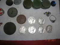 DSCN5268.webp