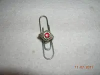 DSCN5280.webp