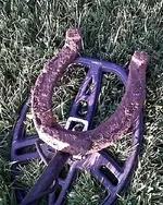 Lakeview Park 03.webp
