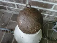 Ball.webp