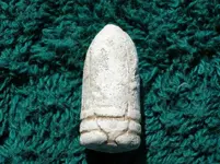 Odd Bullet.jpg.webp