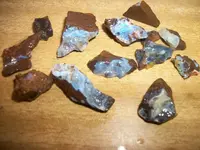100_1098.webp