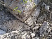 Stone and Concrete.webp