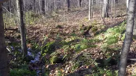 2011-10-30_15-23-43_227.webp