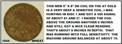 WHEAT CENT.webp