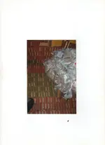 img034.webp