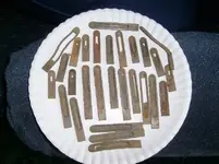 reeds.webp