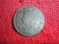SUC50022.webp