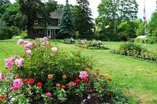 Cornell Campbell Farm 002.webp