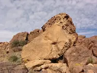 Sacred ram.webp
