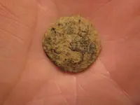 USA Button 001.webp