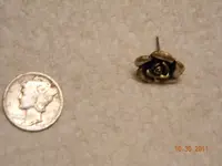 DSCN0409.webp