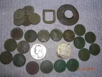 DSCN5139.webp