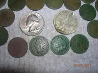 DSCN5140.webp