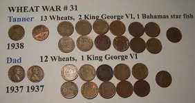 Wheat War # 31.webp
