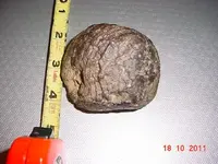 2011_1018filenew0001.webp