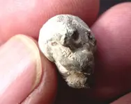 SkullH3.webp