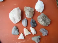 DSCF0790.webp
