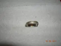 DSCN5237.webp