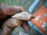 DSCF0798.webp
