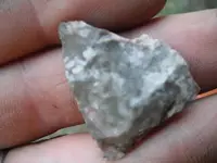 DSCF0799.webp