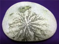 Rock.webp