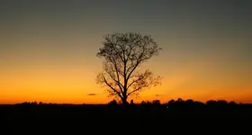 Sunset.webp