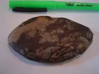 Arrowheads 019 [50%].webp