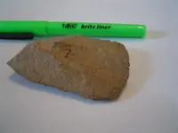 Arrowheads 013 [50%].webp