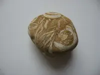 cool rock.webp