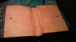 IMAG0041.webp