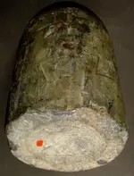 A1535C[1].webp