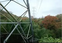 power line.webp