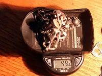 NH FINDS 08-27 004.webp