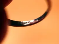 NH FINDS 08-27 008.webp