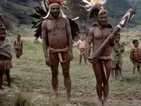 Native genial wear.webp