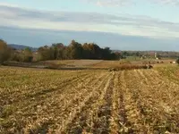 2011-10-28 001.webp