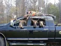 moose hunters.webp