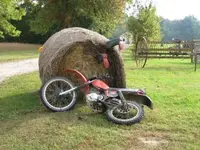 Boys are Bored #8.webp