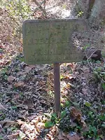 sign in dump.webp