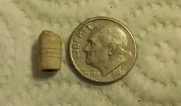 what type bullet.webp