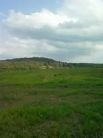 0924111545a.webp