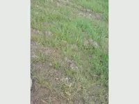 downsize1.webp