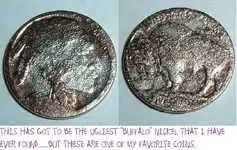 DSCF0726.webp