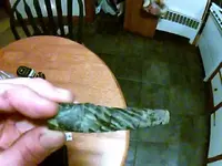 JPEG0028.webp
