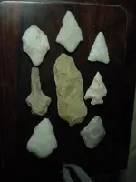 DSC00319.webp