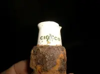 spark plug.webp