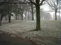 Scarborough Park - Day 4 001.webp