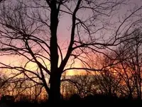 Maryland Sunset.webp