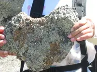 heart out of rock.webp